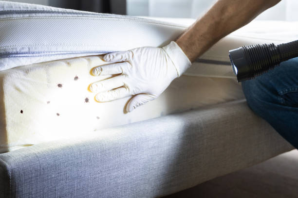 Best Exterminator Services  in Tarboro, NC